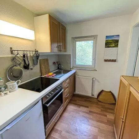 Apartment Haus Rehblick Saig *