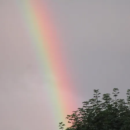 Apartamento Haus Rehblick Saig