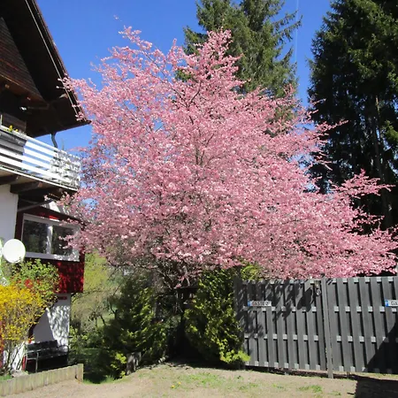 Haus Rehblick Saig Apartamento *